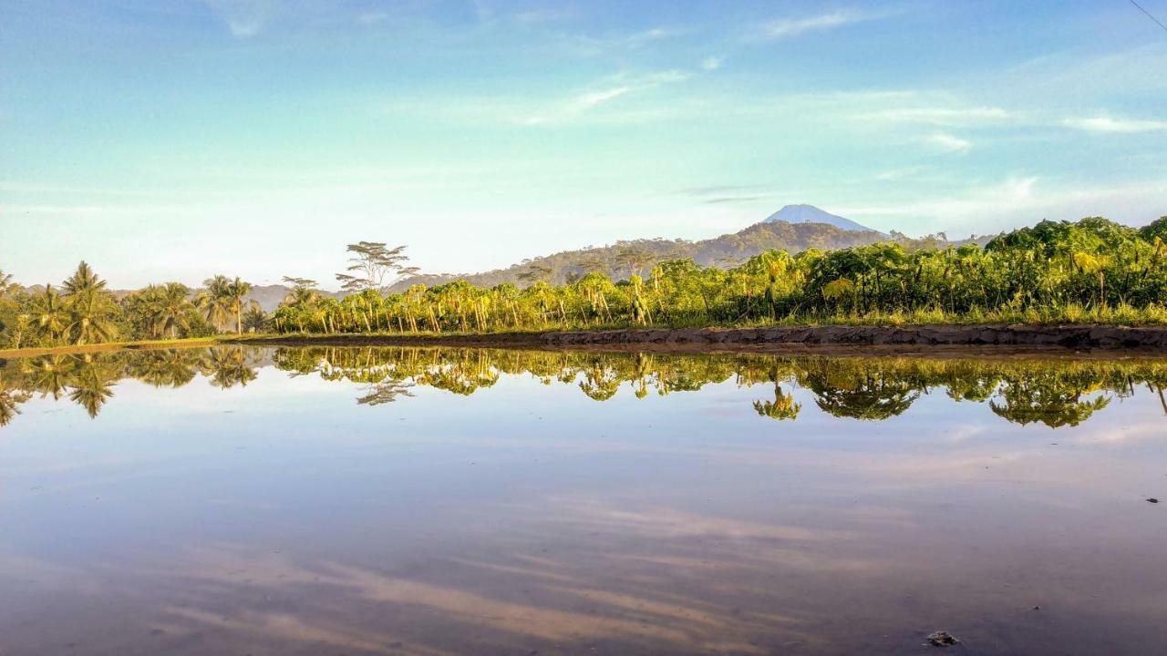 Genthong Homestay ماجلانج المظهر الخارجي الصورة