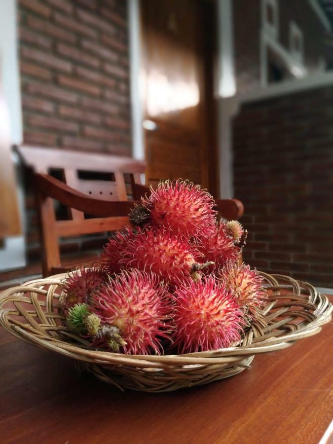 Genthong Homestay ماجلانج المظهر الخارجي الصورة